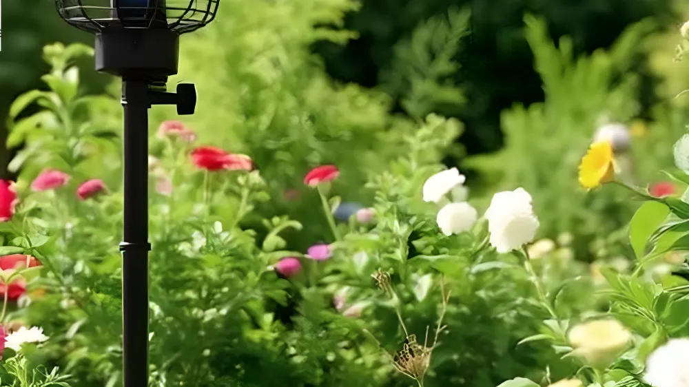 garden mywirelesscoupons